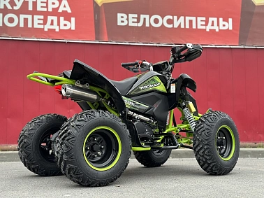 Квадроцикл PROMAX RAPTOR 300 AIR Monster