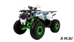 Квадроцикл MOTOLAND (МОТОЛЕНД) детский 125 SHARK