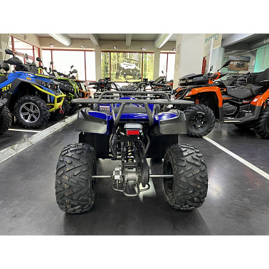 Квадроцикл IRIDE WOLF 200