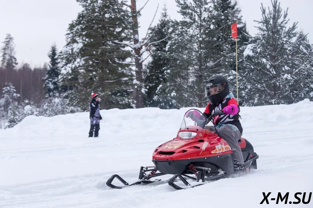 Снегоход Русская механика РМ ТАЙГА  РЫСЬ