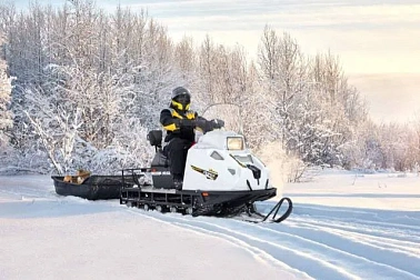 Снегоход STELS Мороз 600L GK