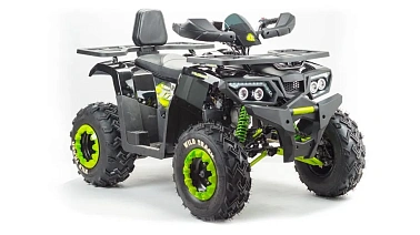 Квадроцикл PROMAX WILD 300 LUX (2024)