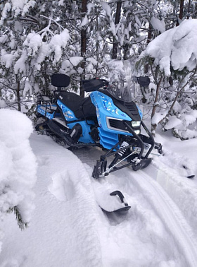 Снегоход WELS 200 RS