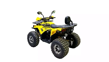 Квадроцикл Bison Fisher 125 Lux