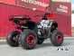 Квадроцикл PROMAX FOREST 180