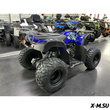 Квадроцикл IRIDE WOLF 200