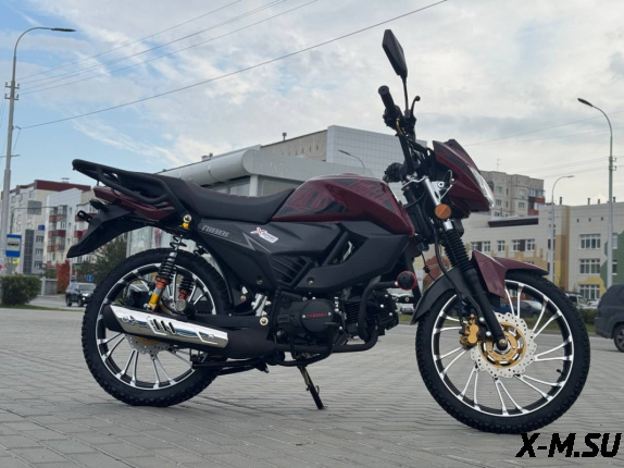 Мопед FAIDET TUGELA RS150 (49)