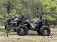 Квадроцикл PROMAX 320 DOMINATOR PRO